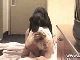 Zoofilia no hotel da loira fazendo sexo com cachorro