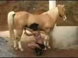 Zoofilia cavalo e mulher transando num vídeo amador