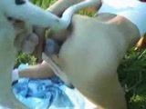 Fez video de zoofilia fodendo com cachorro