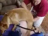 Homem ajuda vizinha bunduda e foder com seu cachorro dotado
