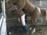 Cavalo dotado detonando o cu do domador gay coroa
