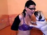 Gostosinha faz cão pug lamber seus seios e sua buceta na webcam